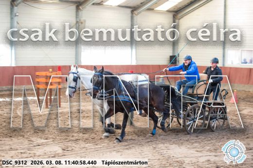 Mintakép 20260308-193