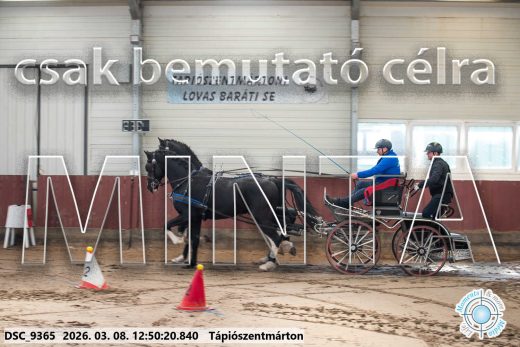Mintakép 20260308-197