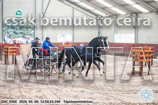Mintakép 20260308-198