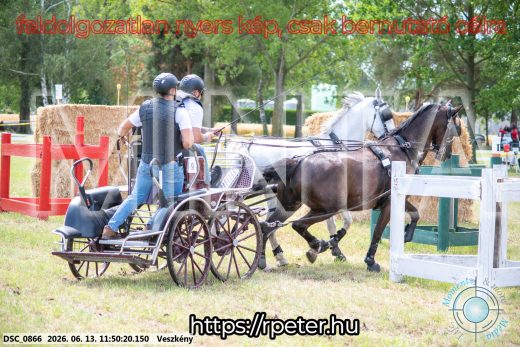Mintakép 20260613-763