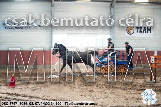 20260307-140224-DSC_8767.jpg