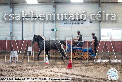 Mintakép 20260307-1051