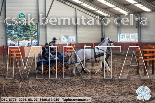 Mintakép 20260307-1057