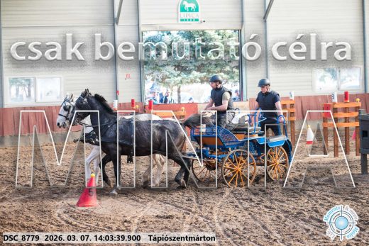 Mintakép 20260307-1060