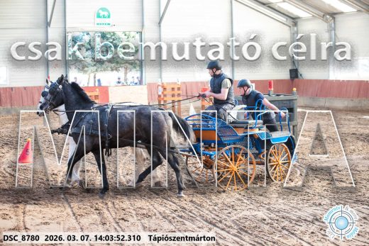 Mintakép 20260307-1061