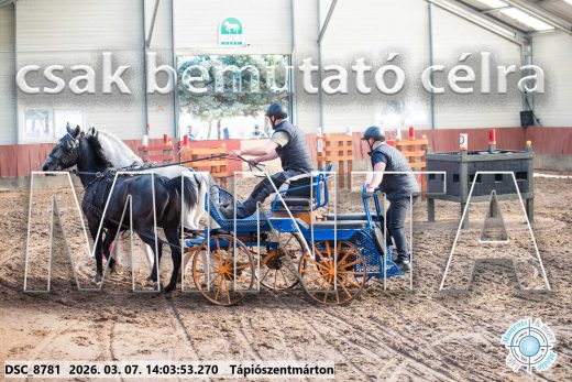 Mintakép 20260307-1062