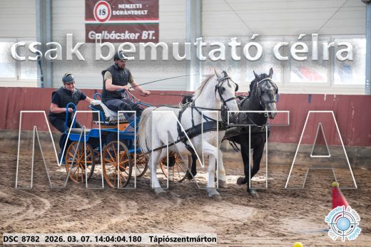 Mintakép 20260307-1063