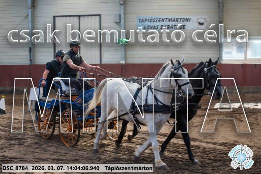 Mintakép 20260307-1065