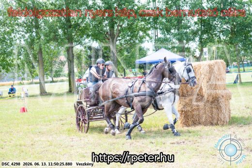 Mintakép 20260613-765