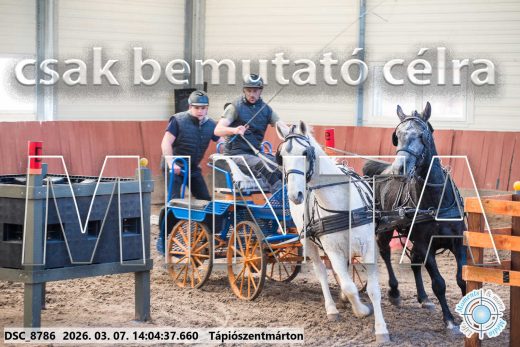 Mintakép 20260307-1067