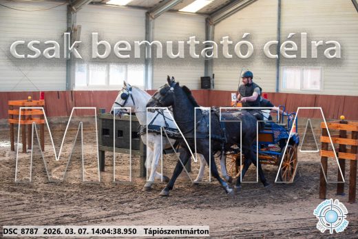 Mintakép 20260307-1068