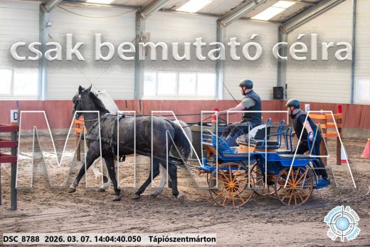 Mintakép 20260307-1069