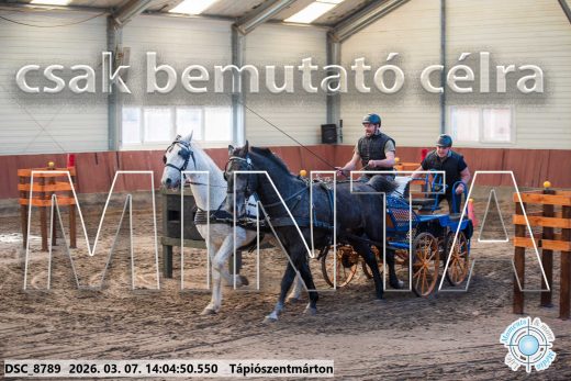 Mintakép 20260307-1070