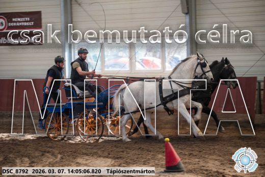 Mintakép 20260307-1073