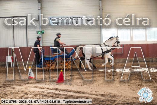 Mintakép 20260307-1074