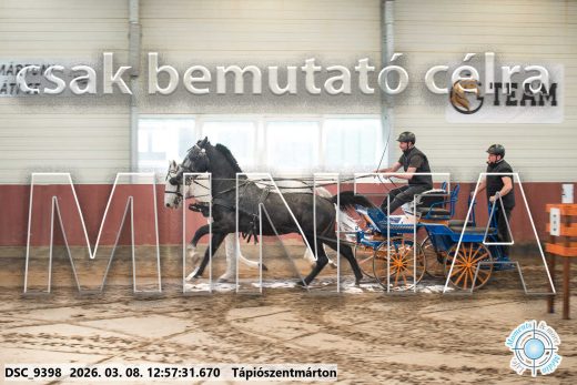 Mintakép 20260308-201
