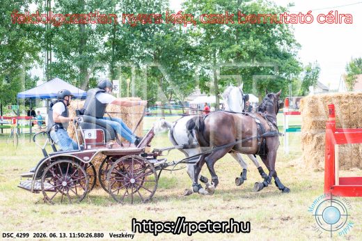 Mintakép 20260613-766