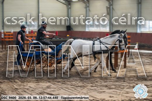 Mintakép 20260308-202