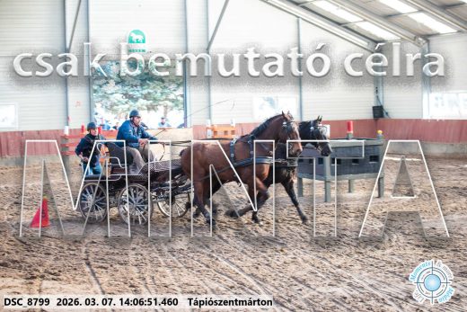 Mintakép 20260307-1078