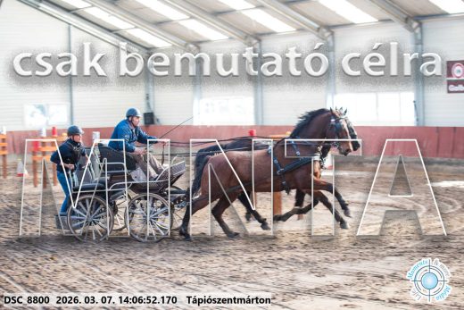 Mintakép 20260307-1079