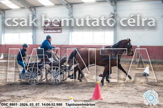 Mintakép 20260307-1080