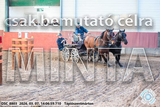 Mintakép 20260307-1082