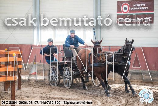 Mintakép 20260307-1083