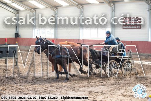 Mintakép 20260307-1084