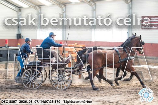 Mintakép 20260307-1086