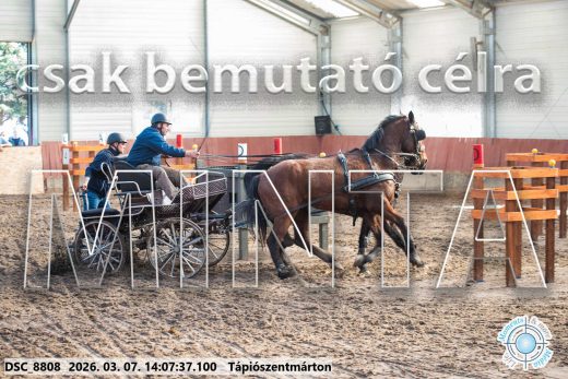 Mintakép 20260307-1087
