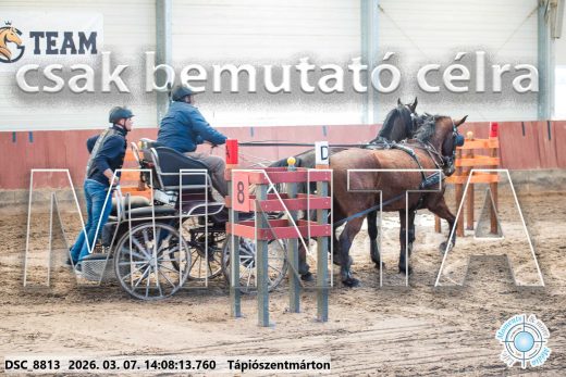 Mintakép 20260307-1092