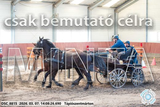 Mintakép 20260307-1094