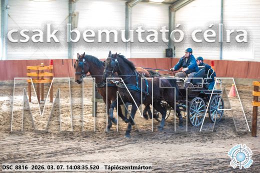 Mintakép 20260307-1095