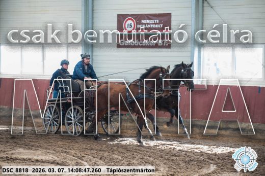 Mintakép 20260307-1097