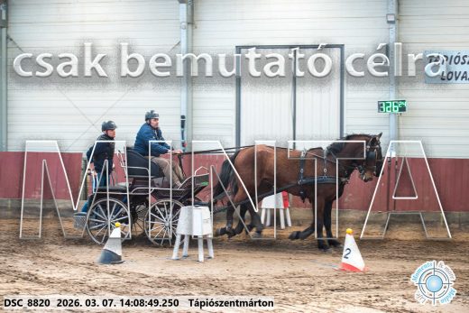 Mintakép 20260307-1098