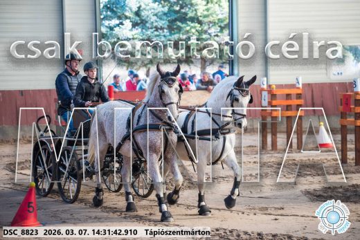 20260307-143142-DSC_8823.jpg