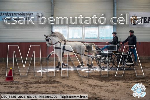 Mintakép 20260307-1103