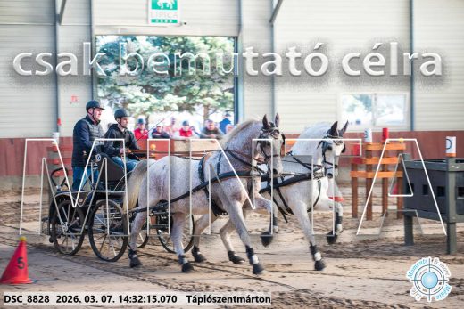Mintakép 20260307-1105