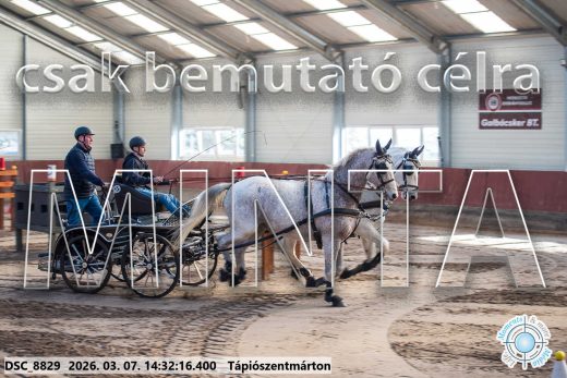 Mintakép 20260307-1106