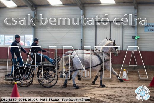 Mintakép 20260307-1107