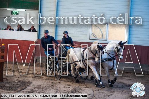Mintakép 20260307-1108
