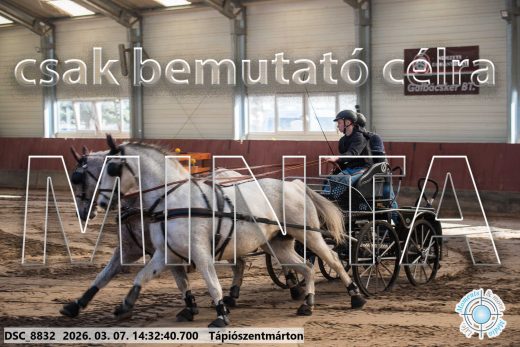 Mintakép 20260307-1109