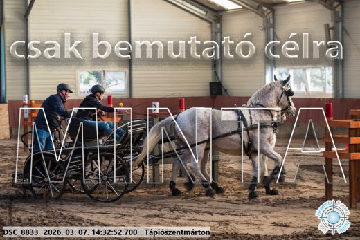Mintakép 20260307-1110