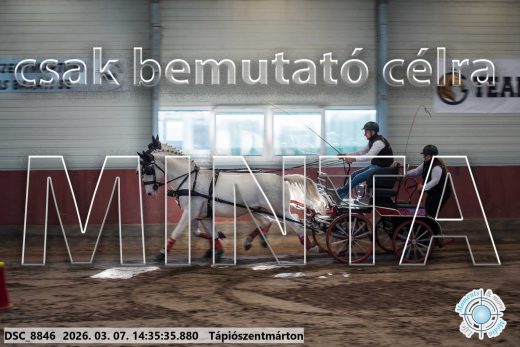 Mintakép 20260307-1122