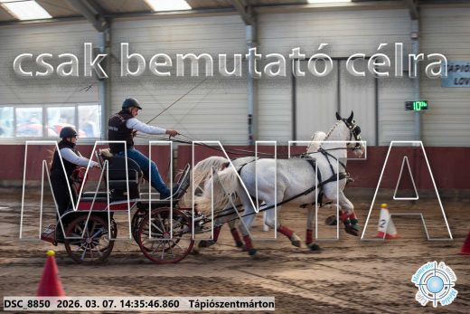 Mintakép 20260307-1125