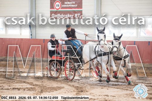 Mintakép 20260307-1128