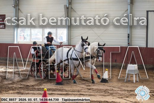 Mintakép 20260307-1130