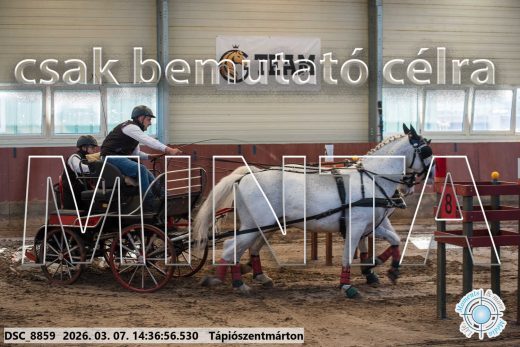 Mintakép 20260307-1132