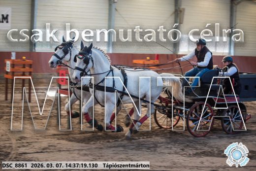 Mintakép 20260307-1134