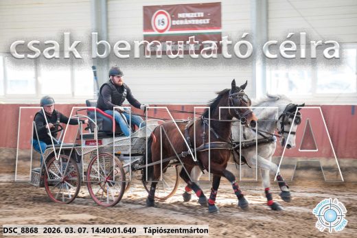 20260307-144001-DSC_8868.jpg